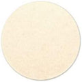 North Wolf Glass Polishing Pad, 5" - Planet Car Care