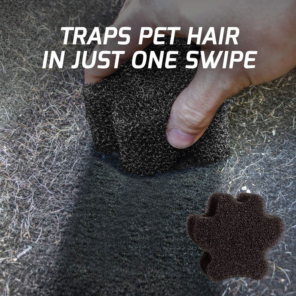Turtle Wax Power Out! Pet Mess Kit - Planet Car Care