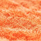 CarPro DHydrate BOLD Drying Towel 90x70cm – 1000gsm