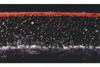 RUPES X-CUT Foam Abrasive, 150mm, P2000, 6" - Planet Car Care