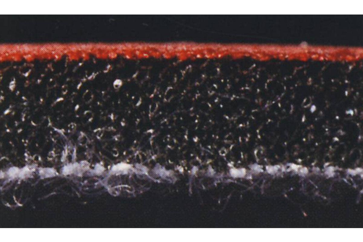 RUPES X-CUT Foam Abrasive, 150mm, P2000, 6" - Planet Car Care