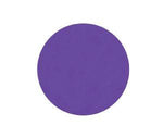 Napoleon Abrasilk Foam Sanding Disc, Grit 1000, 150mm, 6" - Planet Car Care