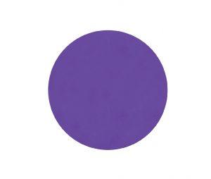 Napoleon Abrasilk Foam Sanding Disc, Grit 1000, 150mm, 6" - Planet Car Care