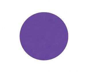 Napoleon Abrasilk Foam Sanding Disc, Grit 1000, 75mm, 3" - Planet Car Care