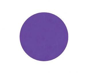 Napoleon Abrasilk Foam Sanding Disc, Grit 1000, 125mm, 5" - Planet Car Care